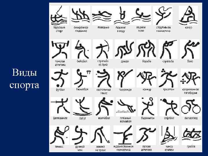 Виды спорта 