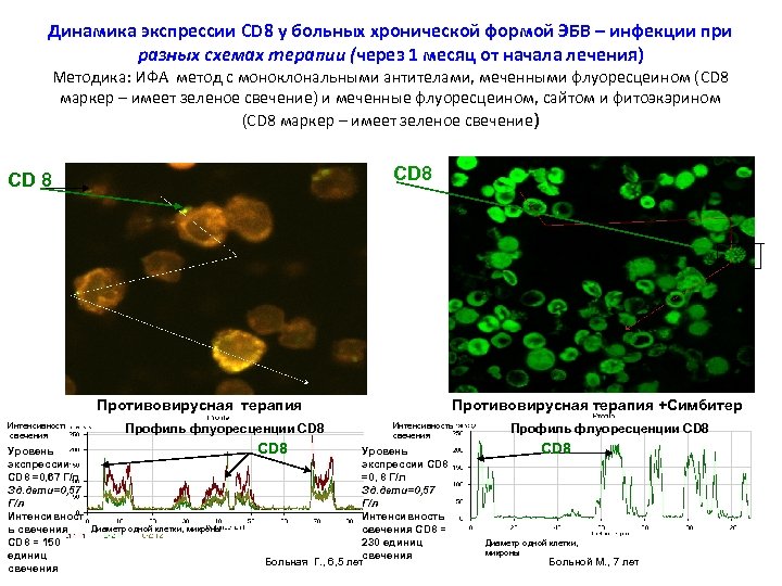 Динамика экспрессии CD 8 у больных хронической формой ЭБВ – инфекции при разных схемах