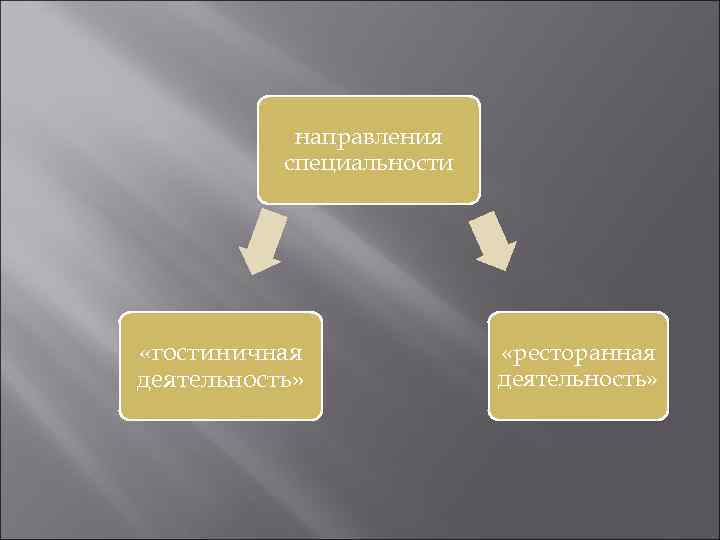 направления специальности «гостиничная деятельность» «ресторанная деятельность» 