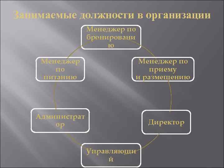 Занимаемые должности в организации Менеджер по бронировани ю Менеджер по питанию Менеджер по приему