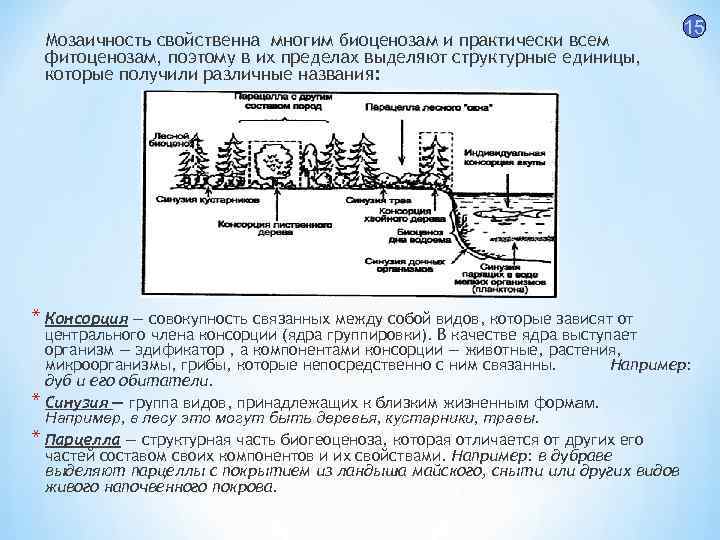 Мозаичность свойственна многим биоценозам и практически всем фитоценозам, поэтому в их пределах выделяют структурные