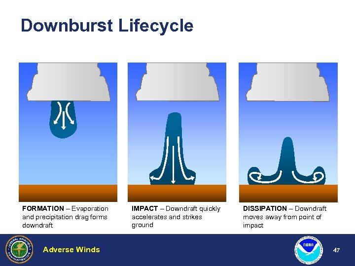 Downburst Lifecycle FORMATION – Evaporation and precipitation drag forms downdraft Adverse Winds Hazardous Weather