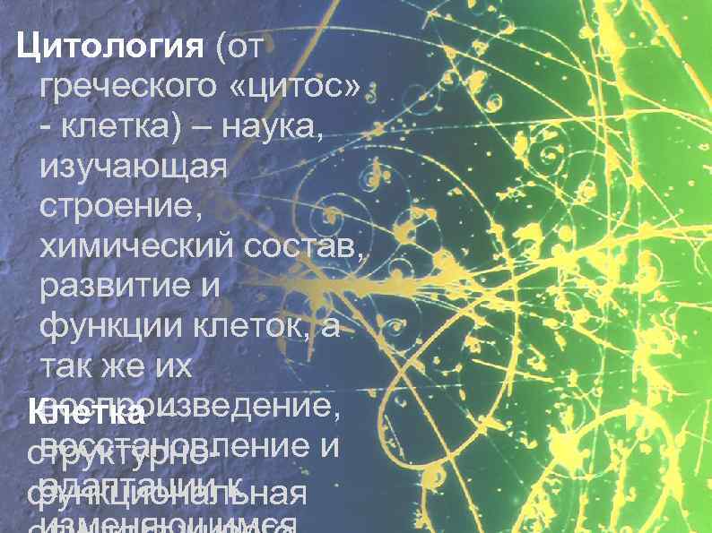 Цитология (от греческого «цитос» - клетка) – наука, изучающая строение, химический состав, развитие и