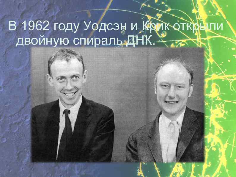 В 1962 году Уодсэн и Крик открыли двойную спираль ДНК. 