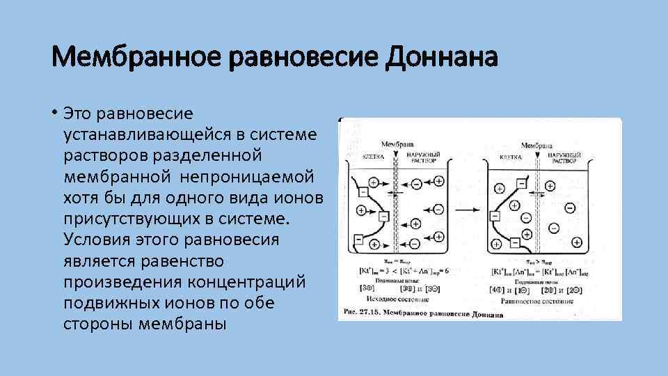 Расщепление высокомолекулярных соединений