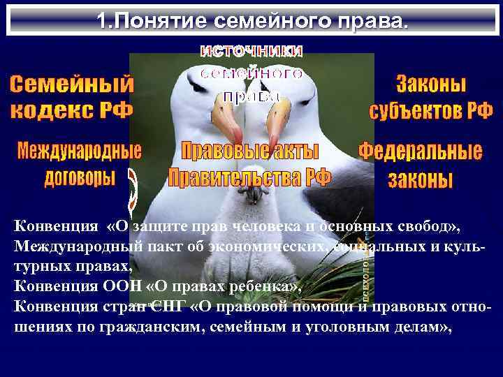 1. Понятие семейного права. Конвенция «О защите прав человека и основных свобод» , Международный