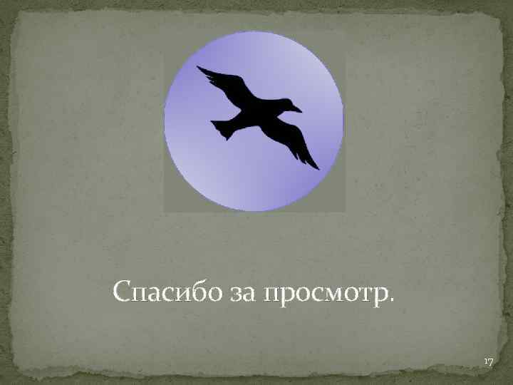Спасибо за просмотр. 17 