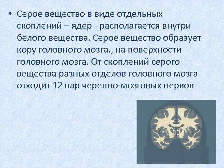  • Серое вещество в виде отдельных скоплений – ядер - располагается внутри белого