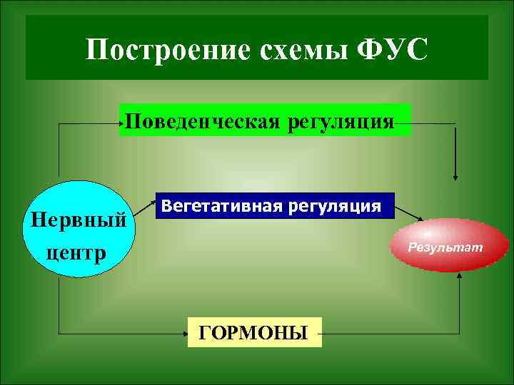 Схема фус восприятия боли