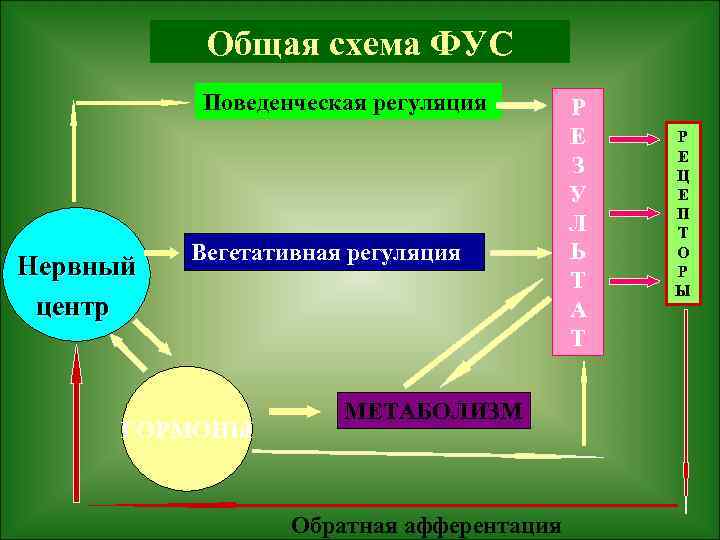 Схема фус восприятия боли