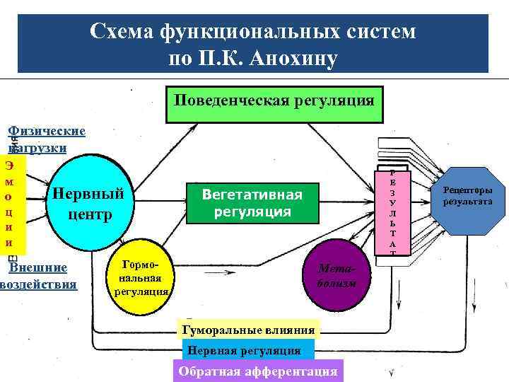 Перенос внешних действий во внутренний план отражения