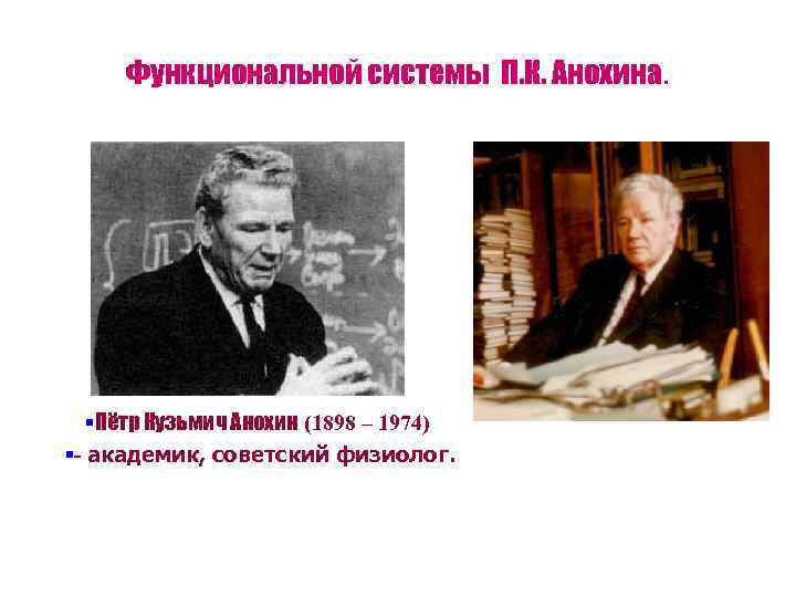 Функциональной системы П. К. Анохина. §Пётр Кузьмич Анохин (1898 – 1974) §- академик, советский