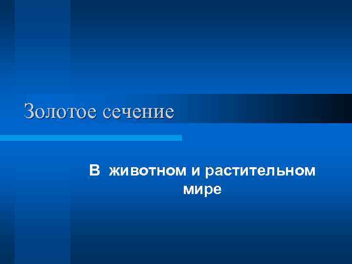 Золотое сечение В животном и растительном мире 