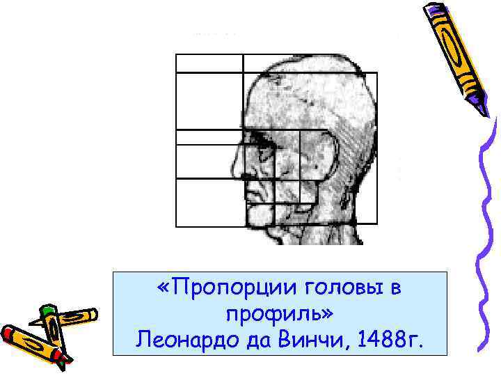  «Пропорции головы в профиль» Леонардо да Винчи, 1488 г. 