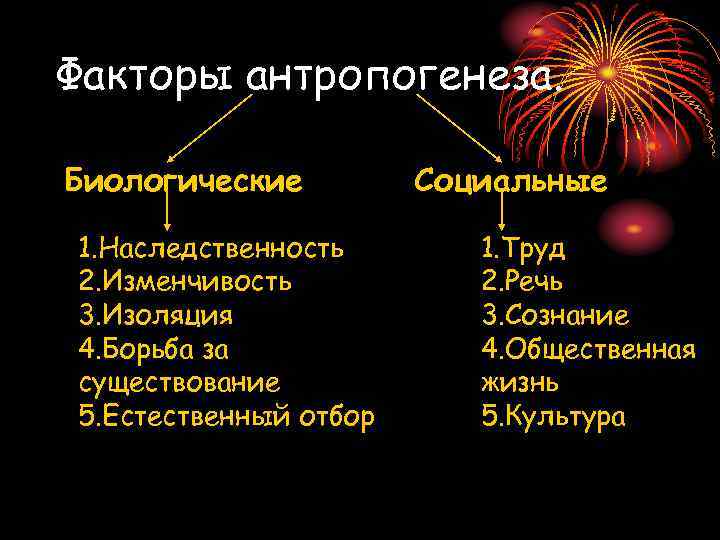 Факторы антропогенеза. Биологические 1. Наследственность 2. Изменчивость 3. Изоляция 4. Борьба за существование 5.