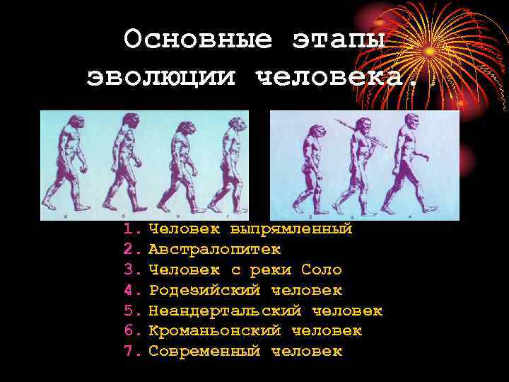 Основные этапы эволюции человека. 1. Человек выпрямленный 2. Австралопитек 3. Человек с реки Соло