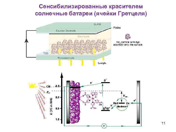 Сенсибилизированные красителем солнечные батареи (ячейки Гретцеля) 11 