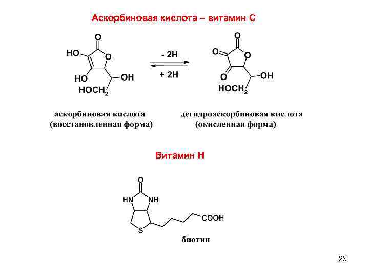 Аскорбиновая кислота – витамин С Витамин Н 23 