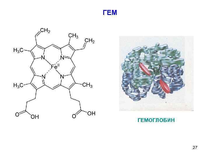 ГЕМ ГЕМОГЛОБИН 27 