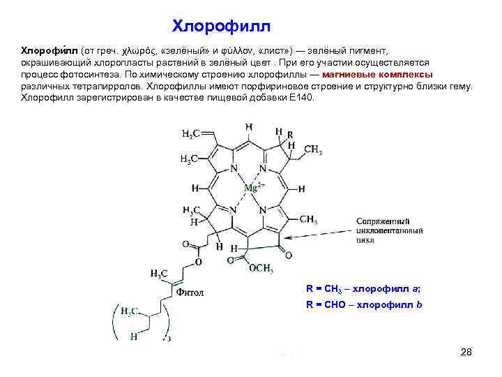 Хлорофилл Хлорофи лл (от греч. χλωρός, «зелёный» и φύλλον, «лист» ) — зелёный пигмент,