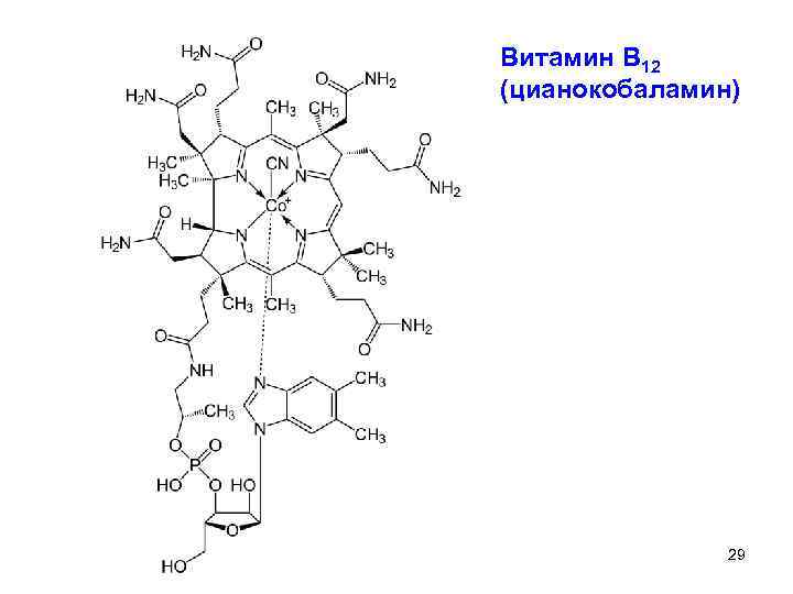 Витамин В 12 (цианокобаламин) 29 