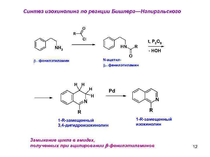 Синтез изохинолина по реакции Бишлера—Напиральского Замыкание цикла в амидах, полученных при ацилировании b-фенилэтиламинов 12