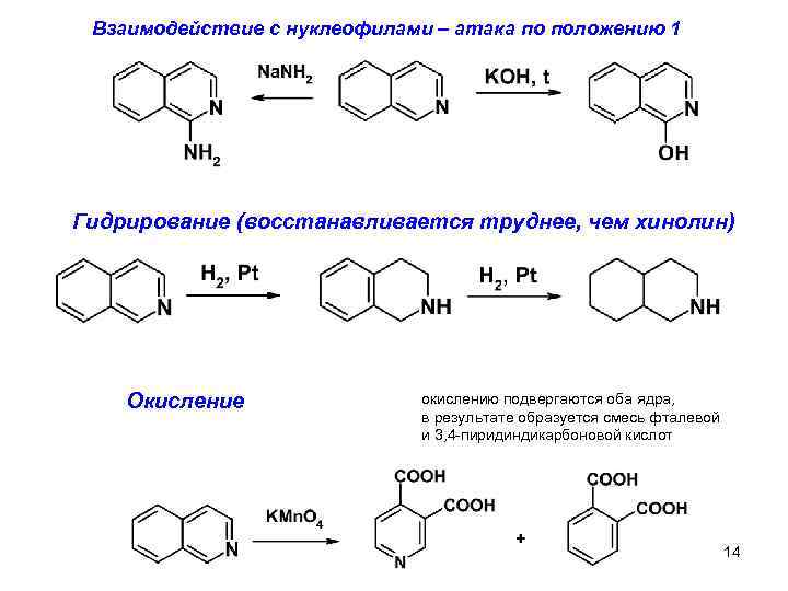 Взаимодействие с нуклеофилами – атака по положению 1 Гидрирование (восстанавливается труднее, чем хинолин) Окисление
