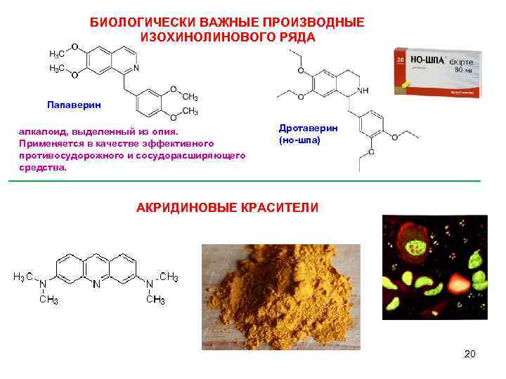 БИОЛОГИЧЕСКИ ВАЖНЫЕ ПРОИЗВОДНЫЕ ИЗОХИНОЛИНОВОГО РЯДА Папаверин алкалоид, выделенный из опия. Применяется в качестве эффективного