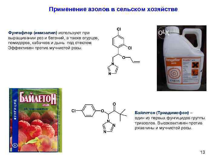 Применение азолов в сельском хозяйстве Фунгафлор (имизалил) используют при выращивании роз и бегоний, а