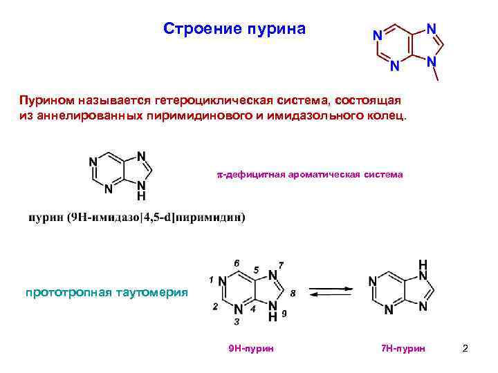Строение пурина Пурином называется гетероциклическая система, состоящая из аннелированных пиримидинового и имидазольного колец. p-дефицитная