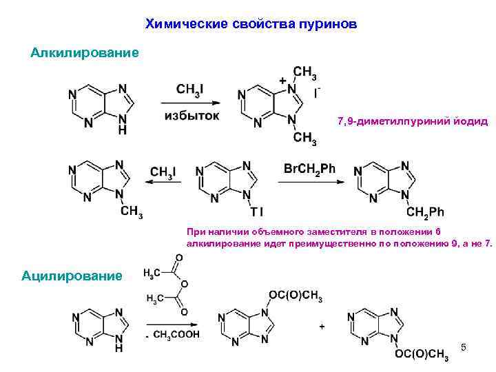 Химические свойства пуринов Алкилирование 7, 9 -диметилпуриний йодид При наличии объемного заместителя в положении
