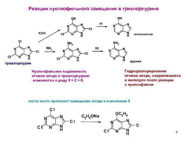 Реакции нуклеофильного замещения в трихлорпурине трихлорпурин Нуклеофильная подвижность атомов хлора в трихлорпурине изменяется в