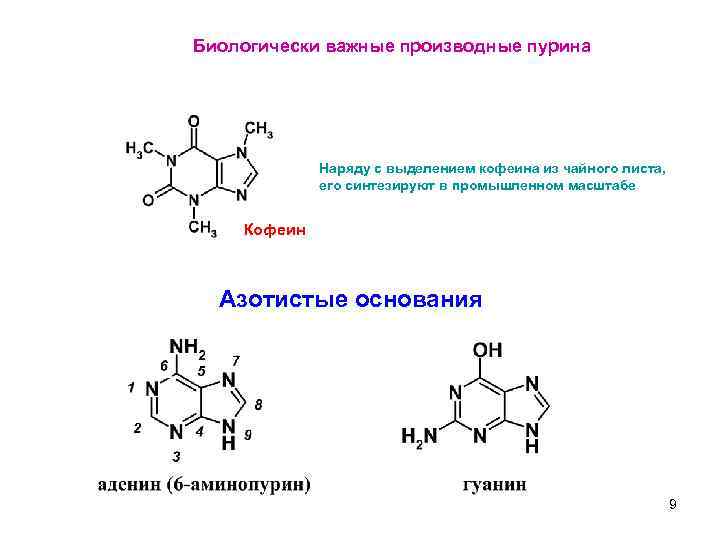 Система пурина