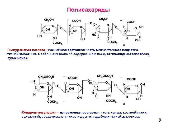 Полисахариды Гиалуроновая кислота - важнейшая составная часть межклеточного вещества тканей животных. Особенно высоко её