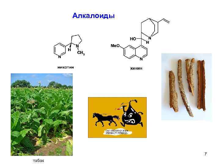 Алкалоиды 7 табак 