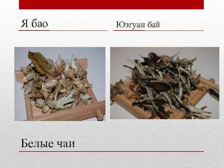 Я бао Белые чаи Юэгуан бай 