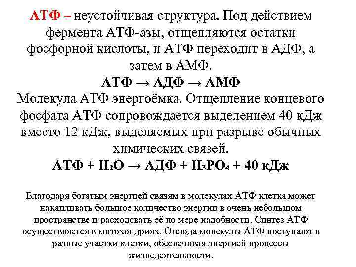 Остаток фосфорной кислоты атф. АТФ неустойчивая структура. Сколько энергии выделяется при расщеплении АТФ. Сколько энергии в молекуле АТФ. Разложение АТФ.