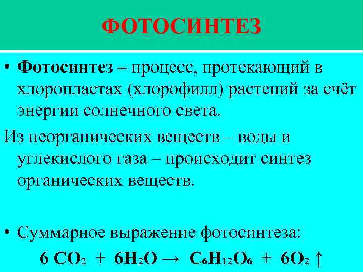 Протекает в хлоропластах