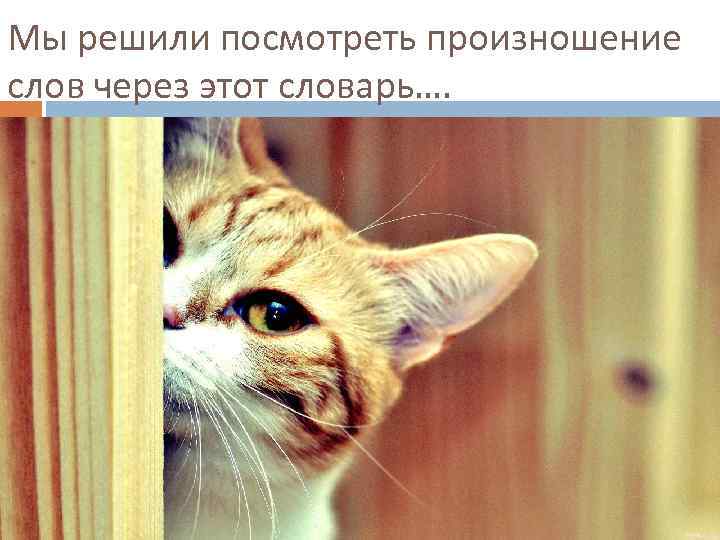 Мы решили посмотреть произношение слов через этот словарь…. 