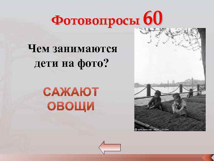 Фотовопросы 60 Чем занимаются дети на фото? 