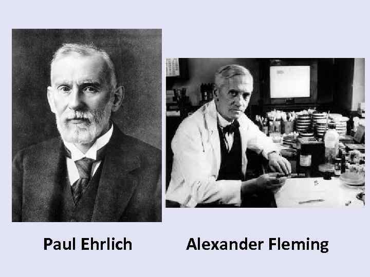Paul Ehrlich Alexander Fleming 