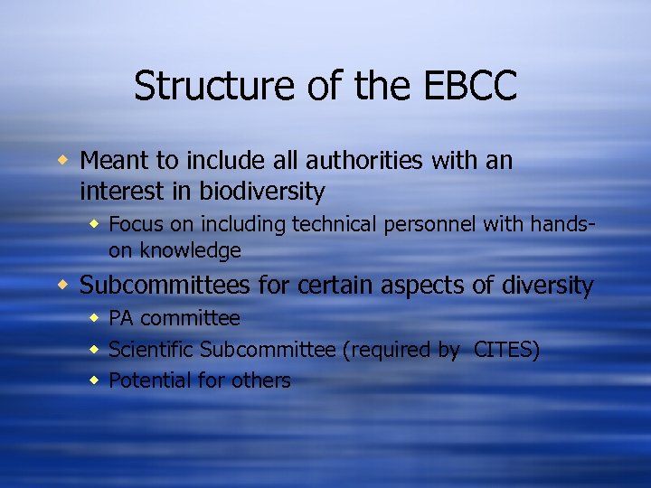 Structure of the EBCC w Meant to include all authorities with an interest in