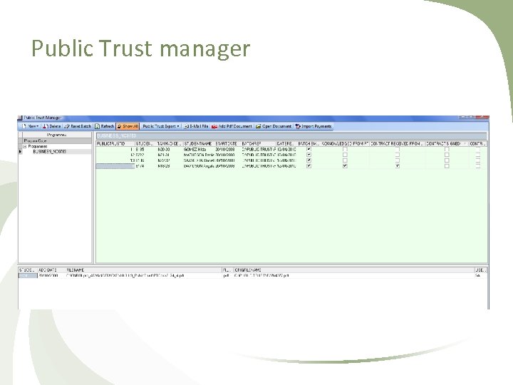 Public Trust manager 