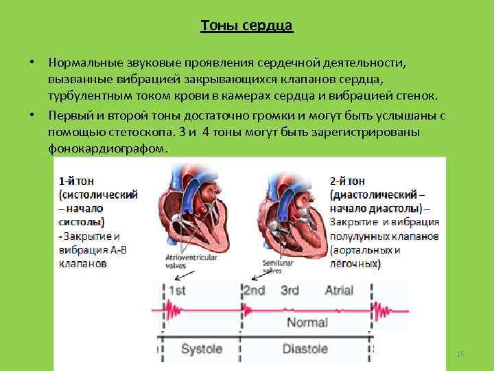 Тоны сердца • Нормальные звуковые проявления сердечной деятельности, вызванные вибрацией закрывающихся клапанов сердца, турбулентным