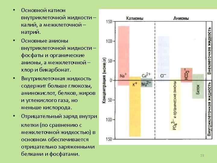 Внеклеточный катион. Основной внутриклеточный катион. Основной катион внутриклеточной жидкости. Внутриклеточная и внеклеточная жидкость. Основные ионы внутриклеточной жидкости.