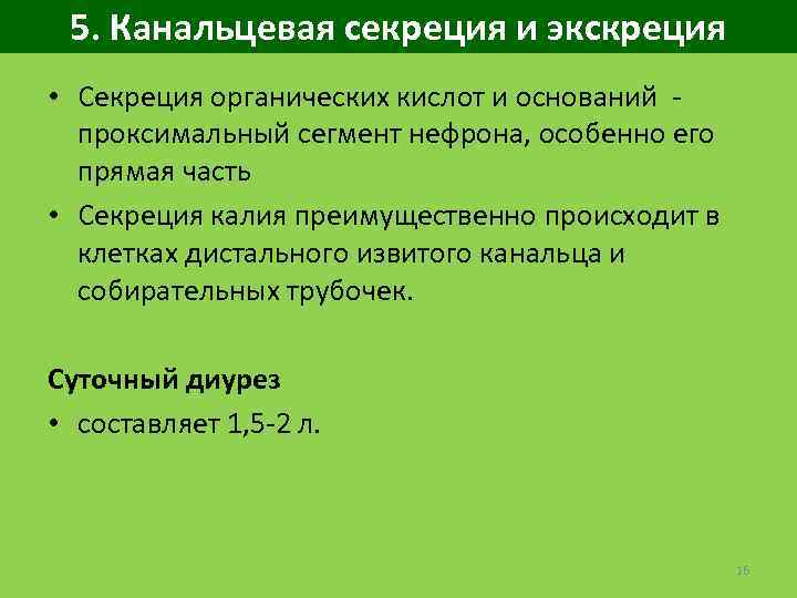 5. Канальцевая секреция и экскреция • Секреция органических кислот и оснований - проксимальный сегмент