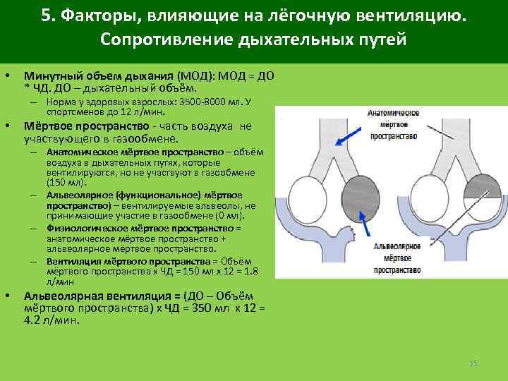 Мертвое пространство. Факторы определяющие сопротивление дыхательных путей. Сопротивление дыхательных путей у взрослых в норме. Минутный объем легочной вентиляции. Респираторное сопротивление физиология.