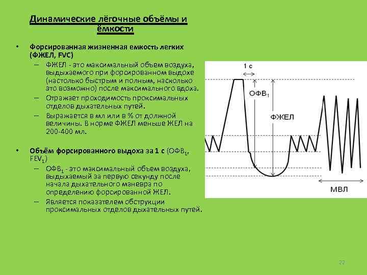 Динамические лёгочные объёмы и ёмкости • Форсированная жизненная емкость легких (ФЖЕЛ, FVC) – ФЖЕЛ