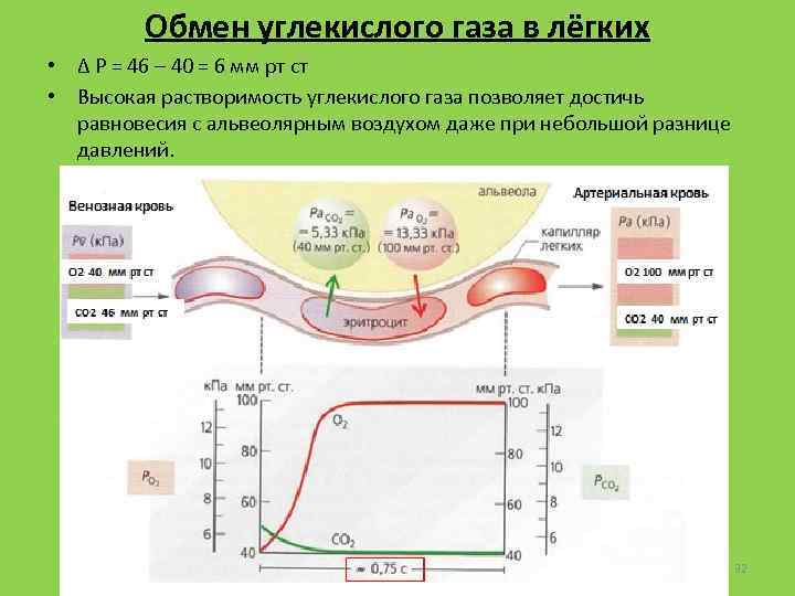 Обмен углекислого газа в лёгких • ∆ Р = 46 – 40 = 6