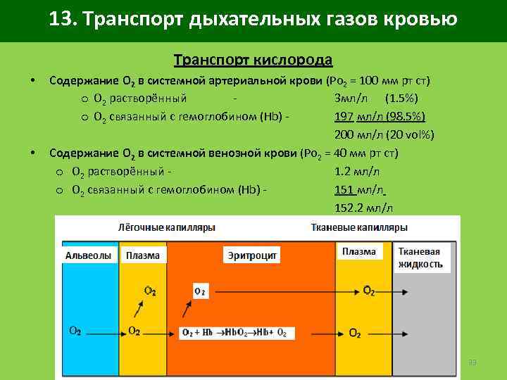 13. Транспорт дыхательных газов кровью Транспорт кислорода Содержание O 2 в системной артериальной крови